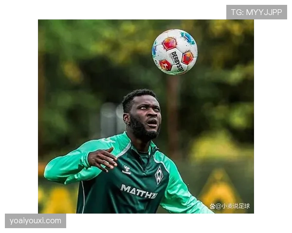 博尼法斯作为德甲冠军核心成员，其荣誉含金量如何体现？