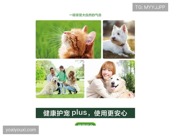 掌敏洁家的猫都比我会花钱